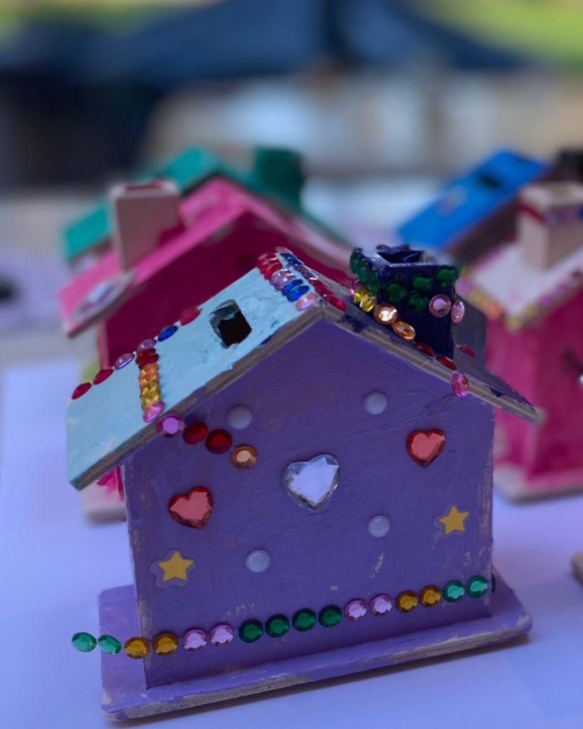 Kinderfeestje gooi en vechtstreek (6)